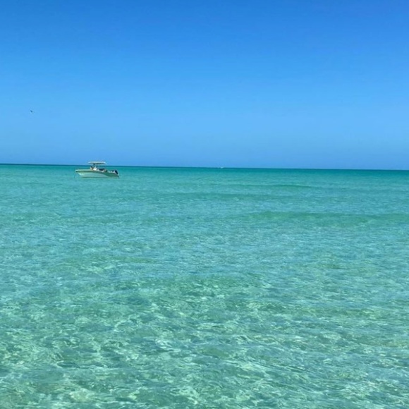 Meet your Posher, Vanessa - Picture 1 of 1